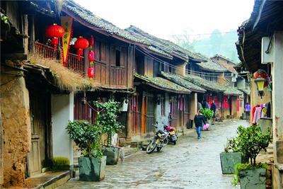 虎年来云南，赶虎街（gai）迎大运