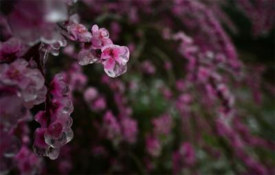绝美！开远虎年初雪图来袭！