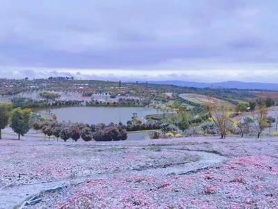 寒潮预警持续！红河文旅提醒您出行注意路况信息