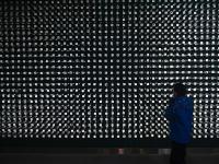 图集｜扶荔宫再次开园 快邀约家人一起打卡吧