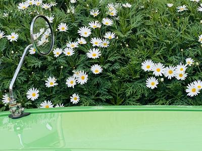 【开放大理】一辆绿色复古车承载着他的理想，关于咖啡 关于大理