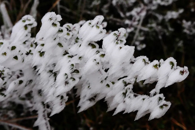 受冰雪天气影响昆明西山景区临时暂停开放