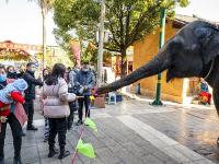 图集｜阳光明媚易出行 民族村里把年闹