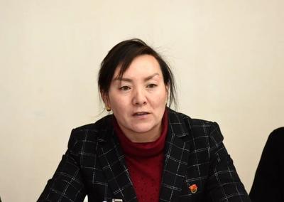 聚焦迪庆“两会”｜关于迪庆文旅 代表委员如是说——