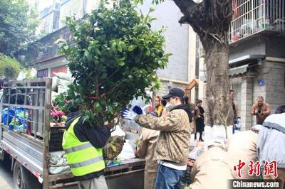 重庆打造“亲邻自然”生态花园 人与自然和谐共生