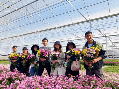 大理州沙龙镇：花卉产业绽放民族团结之“花”