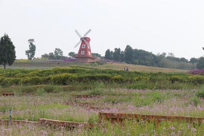 【图集 | 在东风韵艺术小镇赏建筑艺术 自然美景】