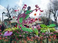 图集 | 大观公园牡丹花迎接游客过新年