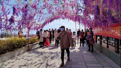 楚雄永仁：虎年新春县域旅游经济实现“开门红”