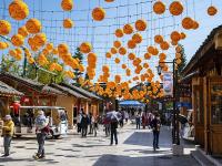 图集｜阳光明媚易出行 民族村里把年闹