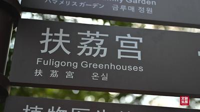 视频 | 探访“扶荔宫”