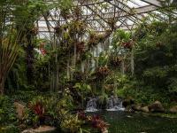 图集｜扶荔宫再次开园 快邀约家人一起打卡吧