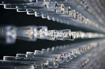 图集｜扶荔宫再次开园 快邀约家人一起打卡吧