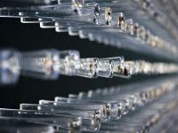 图集｜扶荔宫再次开园 快邀约家人一起打卡吧