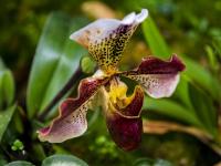 图集｜扶荔宫再次开园 快邀约家人一起打卡吧