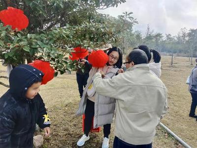 春节假期就近游，玉溪景区欢乐多！