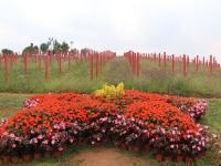 【图集 | 在东风韵艺术小镇赏建筑艺术 自然美景】