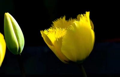 图组丨踏着春光，迎接弥勒春暖花开