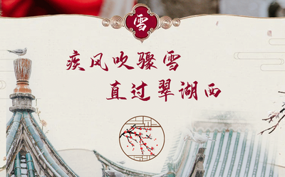 我们在翠湖“拥抱”了一场春雪