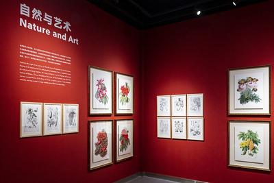 图集｜扶荔宫再次开园 快邀约家人一起打卡吧