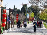 图集｜阳光明媚易出行 民族村里把年闹