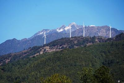 者摩元素如何吸引游人走进山里，看看他们怎么谈！