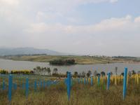 【图集 | 在东风韵艺术小镇赏建筑艺术 自然美景】