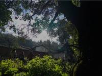 图集 | 新春伊始 登巍宝山赏景