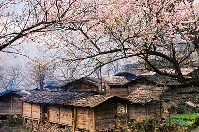 贡山：一个让时间慢下来的宝藏之地