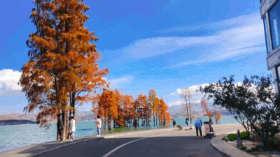 2月2日，世界湿地日！