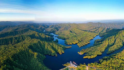 早春一游，带你走进滇东北明珠铜锣坝国家森林公园