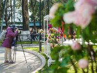 图集 | 大观公园牡丹花迎接游客过新年