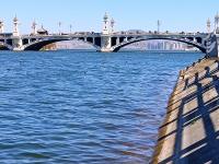 【图集 | 洱河森林公园：群花竞放 鸭鸥云集 新人扎堆拍婚照】