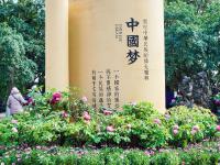 图集 | 大观公园牡丹花迎接游客过新年