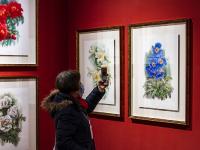 图集｜扶荔宫再次开园 快邀约家人一起打卡吧