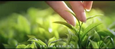 【大理好礼】白礼茶：冲泡即饮 三道茶中品人生