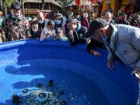 图集｜阳光明媚易出行 民族村里把年闹