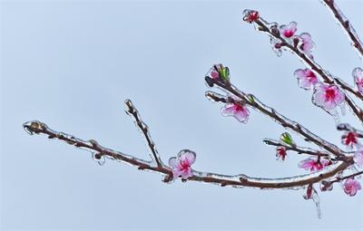 绝美！开远虎年初雪图来袭！