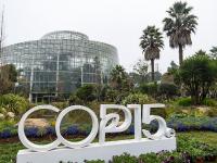 图集｜扶荔宫再次开园 快邀约家人一起打卡吧