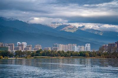 【开放大理】一辆绿色复古车承载着他的理想，关于咖啡 关于大理