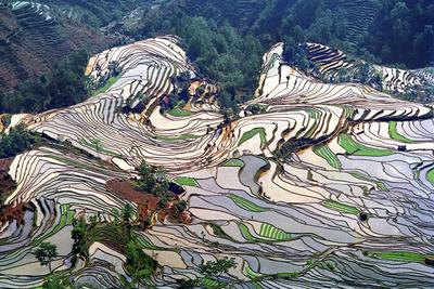 邂逅元阳哈尼梯田  开启身心治愈之旅