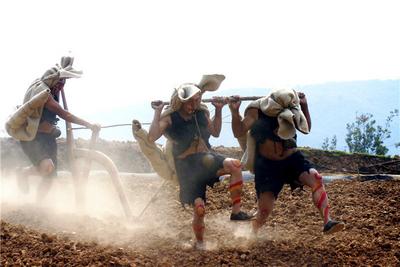 虎年跳虎，双柏“三笙”亮相央视！