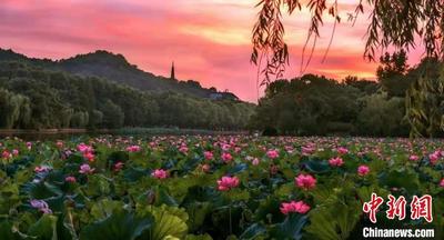 浙江文旅项目实际完成投资2769.7亿元 超额实现“全年红”