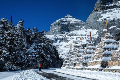 跨省团队旅游恢复｜这么欣赏香格里拉最为惬意！  