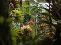 图集｜扶荔宫再次开园 快邀约家人一起打卡吧