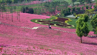  关于弥勒超美这件事，一组图告诉你！