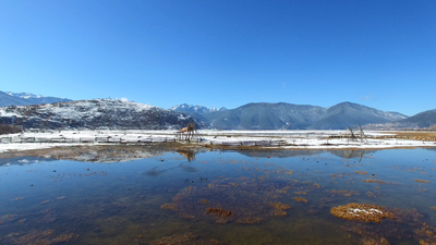 9.91万人次， 6690.82万元！香格里拉晒出春节旅游"成绩单”