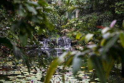 图集｜扶荔宫再次开园 快邀约家人一起打卡吧