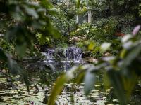 图集｜扶荔宫再次开园 快邀约家人一起打卡吧