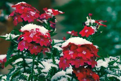 绝美！带你赏今日份红河雪景